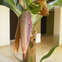 фото из отзыва ID 1026376