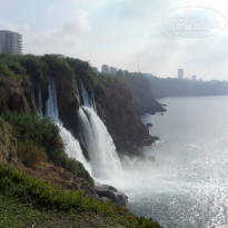 фото из отзыва ID 1026664