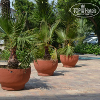 фото из отзыва ID 1026671