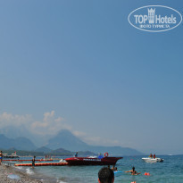 фото из отзыва ID 1026824