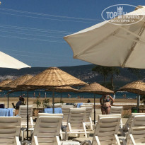 фото из отзыва ID 1026859