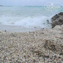 фото из отзыва ID 1026881