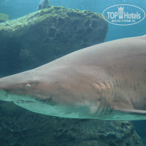 фото из отзыва ID 1026881