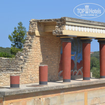 фото из отзыва ID 1026921