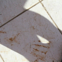 фото из отзыва ID 1026517