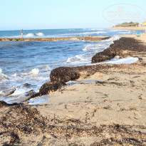 фото из отзыва ID 1026517