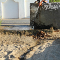 фото из отзыва ID 1026517