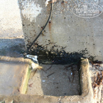 фото из отзыва ID 1026517