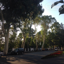 фото из отзыва ID 1026994