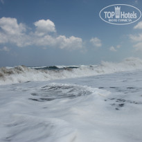 фото из отзыва ID 1027172