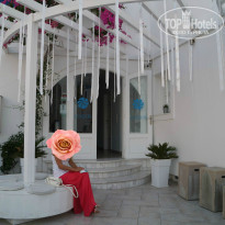 фото из отзыва ID 1027528