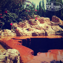 фото из отзыва ID 1027773