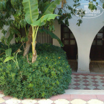 фото из отзыва ID 1027928