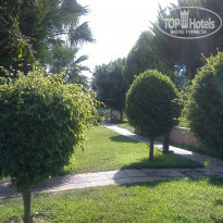 фото из отзыва ID 1027915