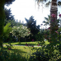 фото из отзыва ID 1027915