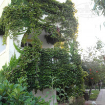 фото из отзыва ID 1027915