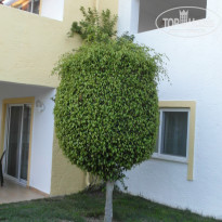 фото из отзыва ID 1027915