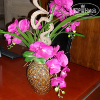 фото из отзыва ID 1028013