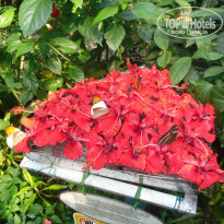 фото из отзыва ID 1028261