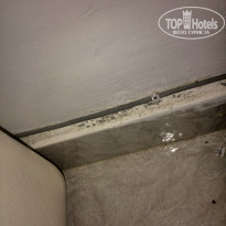 фото из отзыва ID 1028282