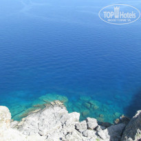 фото из отзыва ID 1028292