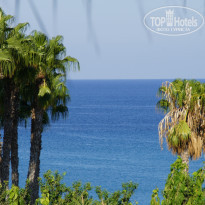 фото из отзыва ID 1028550