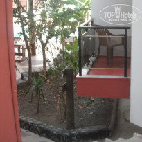 фото из отзыва ID 1028773