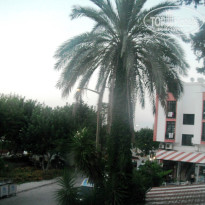 фото из отзыва ID 1028773