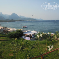 фото из отзыва ID 1028773