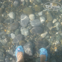 фото из отзыва ID 1028783