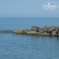 фото из отзыва ID 1028783