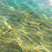 фото из отзыва ID 1029266