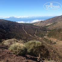 фото из отзыва ID 1029320