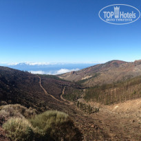 фото из отзыва ID 1029320