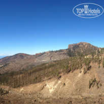 фото из отзыва ID 1029320