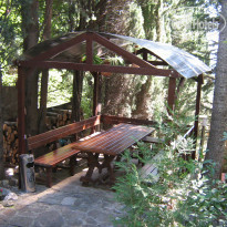 фото из отзыва ID 1029352