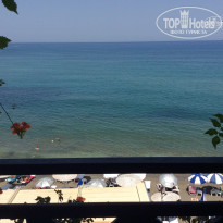 фото из отзыва ID 1029475