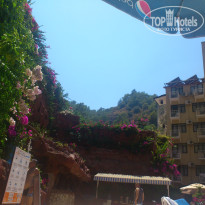 фото из отзыва ID 1029525