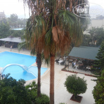 фото из отзыва ID 1029528