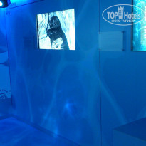 фото из отзыва ID 1029555