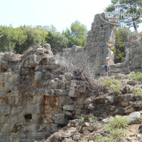 фото из отзыва ID 1029159