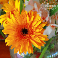 фото из отзыва ID 1025611