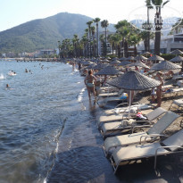 фото из отзыва ID 1029714