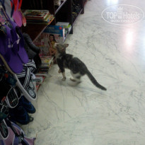 фото из отзыва ID 1029838