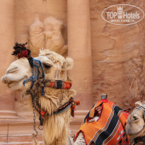 фото из отзыва ID 1029888