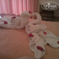 фото из отзыва ID 1029894