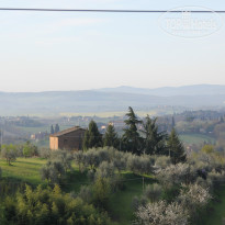 фото из отзыва ID 1029938