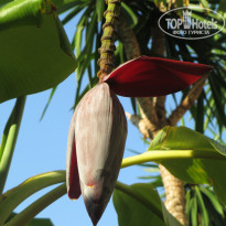 фото из отзыва ID 1029986