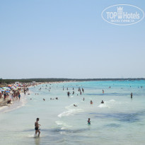 фото из отзыва ID 1029986