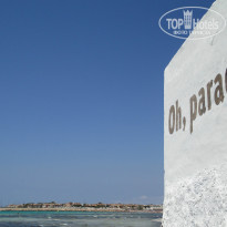 фото из отзыва ID 1029986